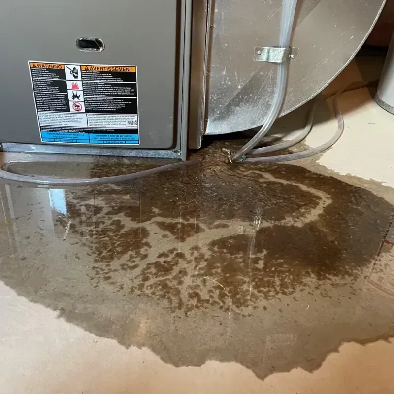 Appliance Leak Cleanup in Plainview, NE